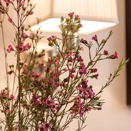 Hotel Heritage Hotel 19 4*